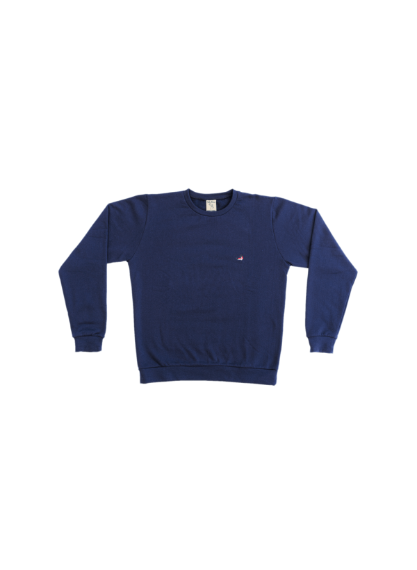 Pull Bleu Marine Homme - Insectes